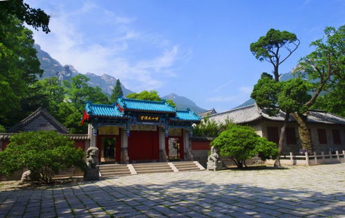 實現太清 仰口 華嚴 九水互聯互通 大嶗山 游覽布局進入三年攻堅行動方案